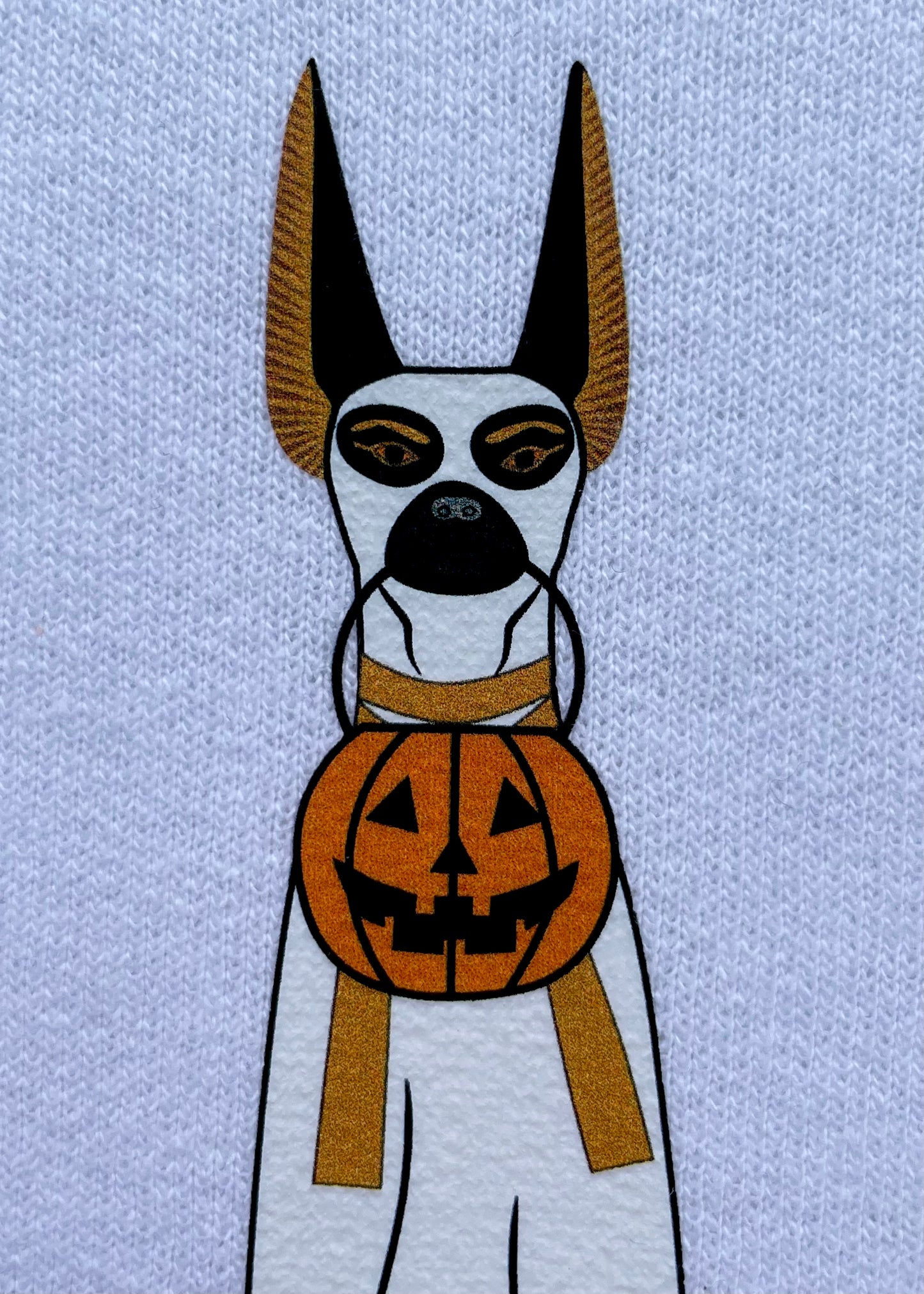 Anubis Jackals and Egyptian Cats Sweatshirts