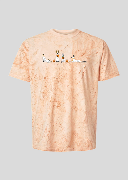 Anubis Jackals and Egyptian Cats Tees