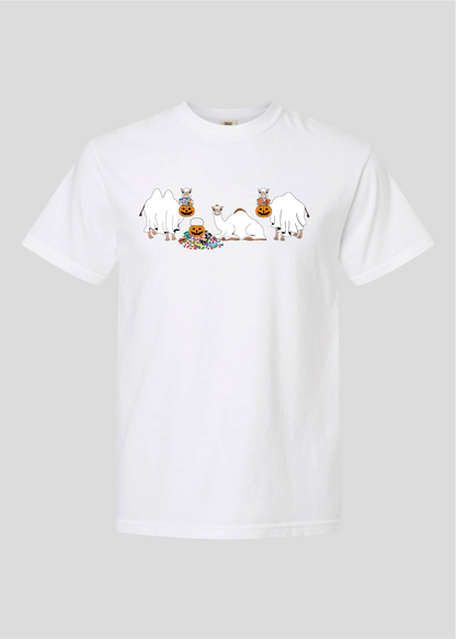 Ghost Camels: Trick or Treat Tees