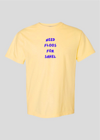 Need Money For Sahel Tee