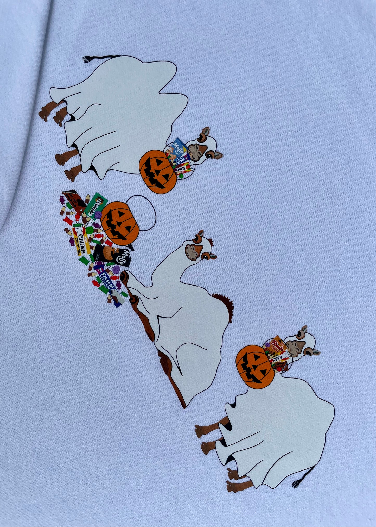 Ghost Camels: Trick or Treat Sweatshirts