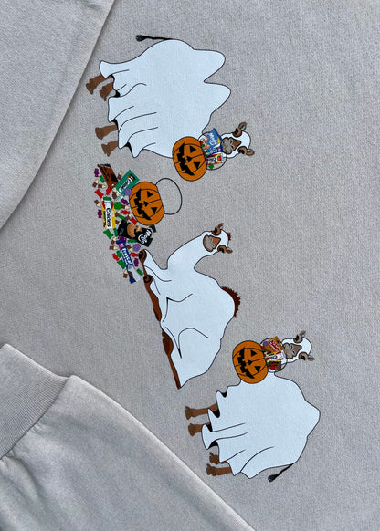 Ghost Camels: Trick or Treat Sweatshirts