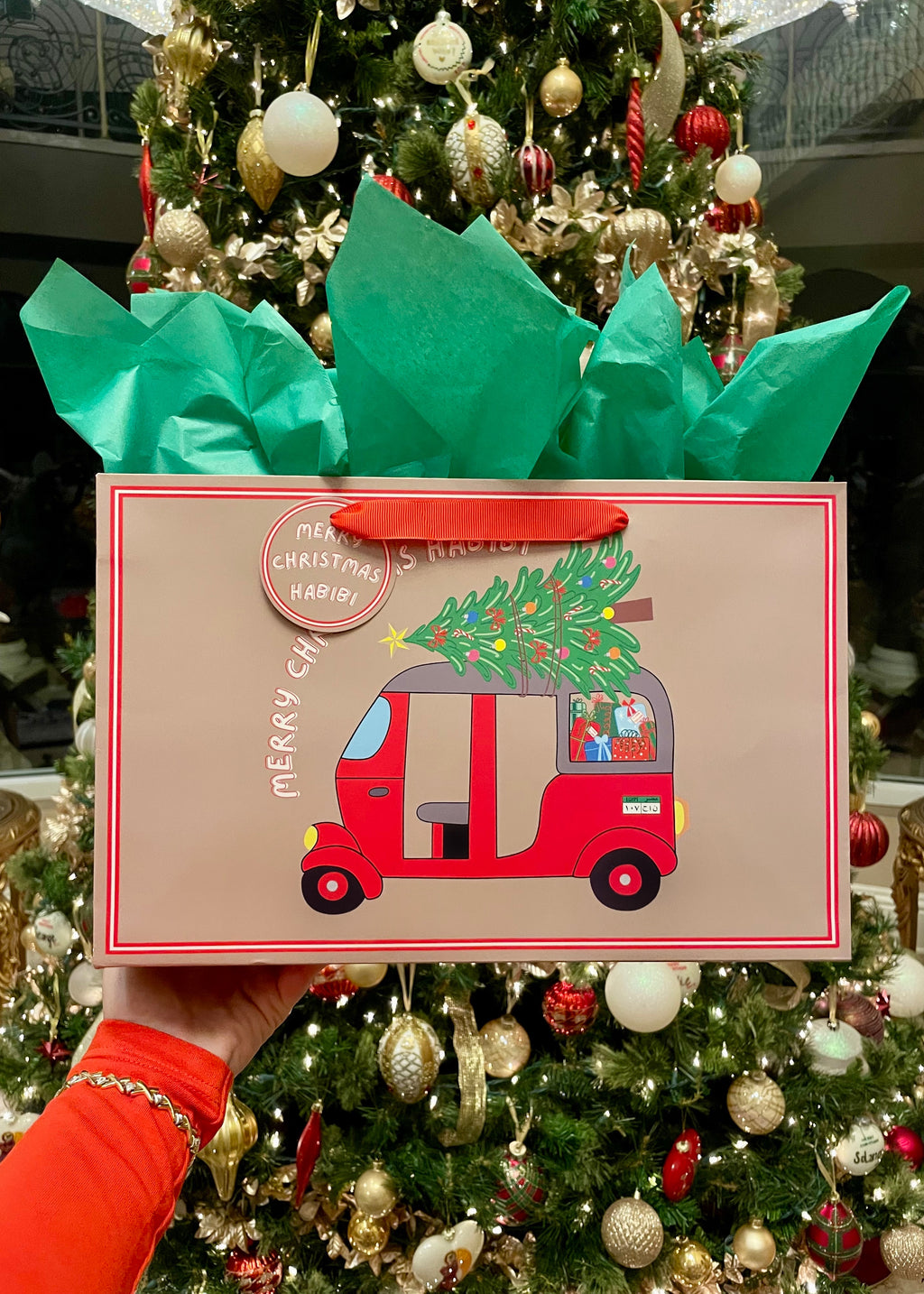 Luxury Christmas Gift Bags