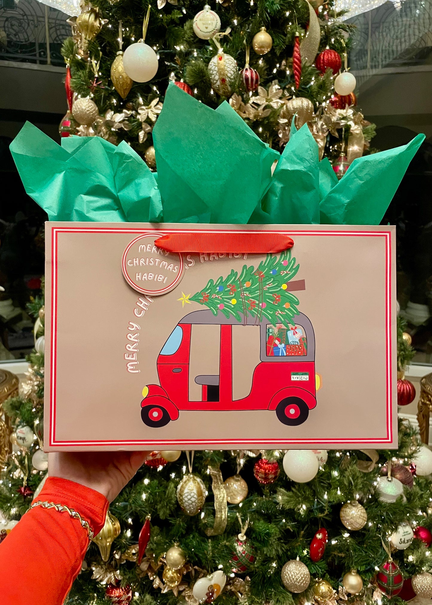 Luxury Christmas Gift Bags