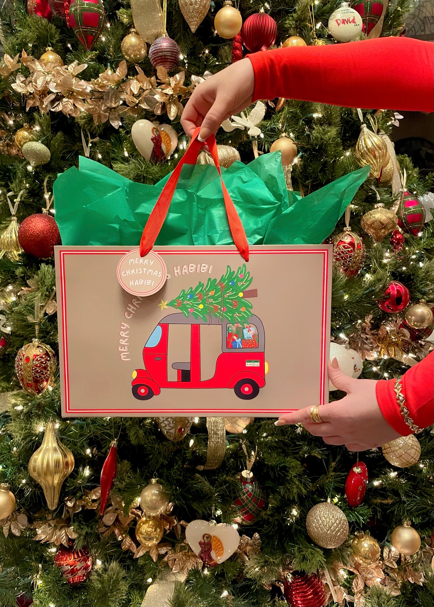 Luxury Christmas Gift Bags