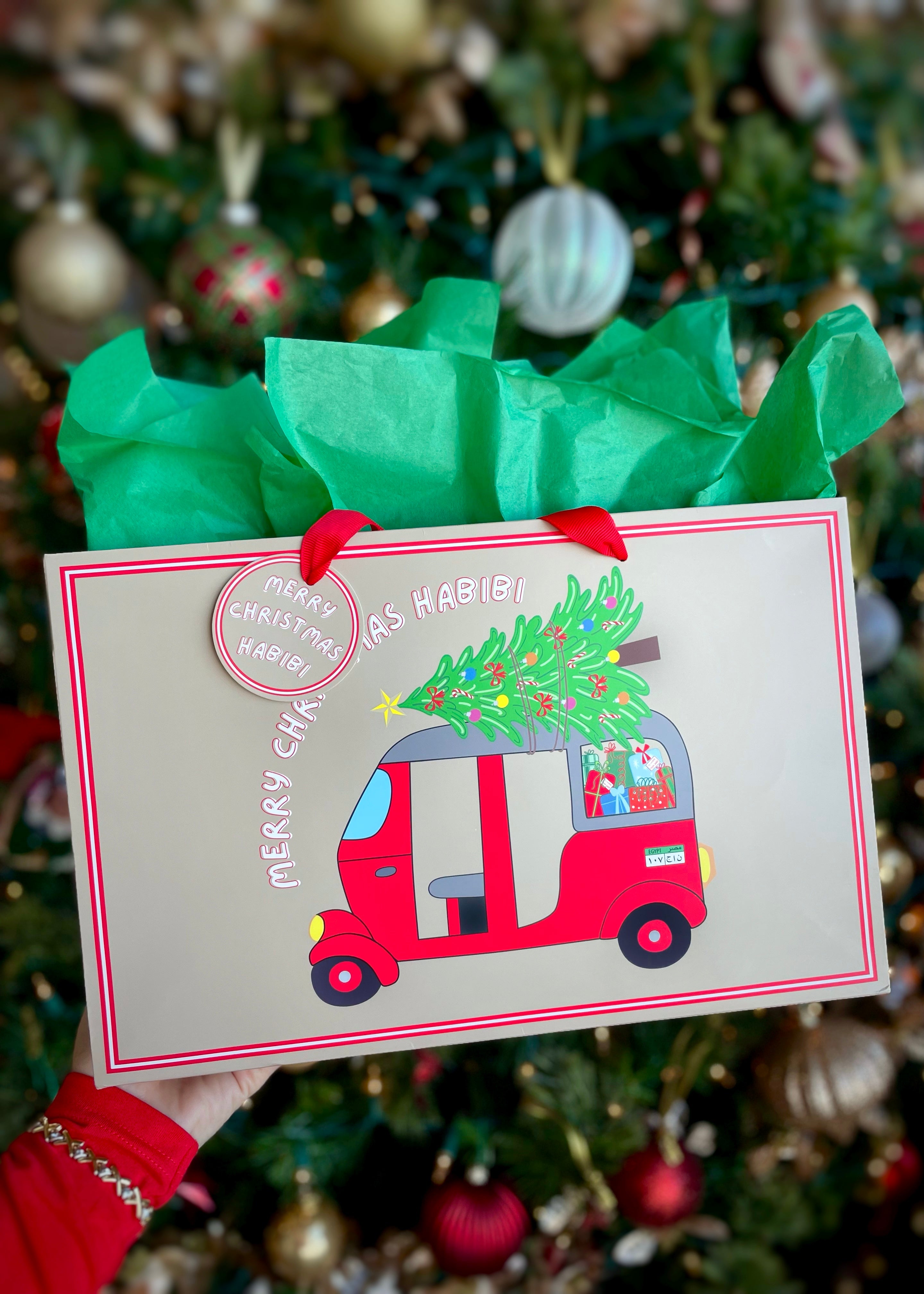 Luxury Christmas Gift Bags