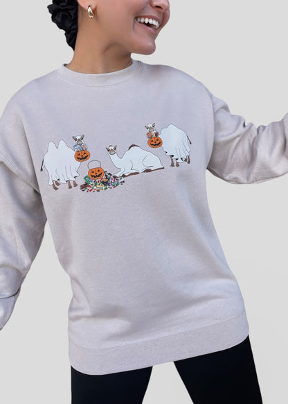 Ghost Camels: Trick or Treat Sweatshirts