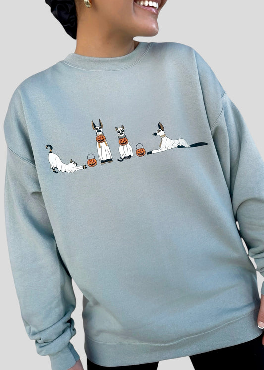 Anubis Jackals and Egyptian Cats Sweatshirts