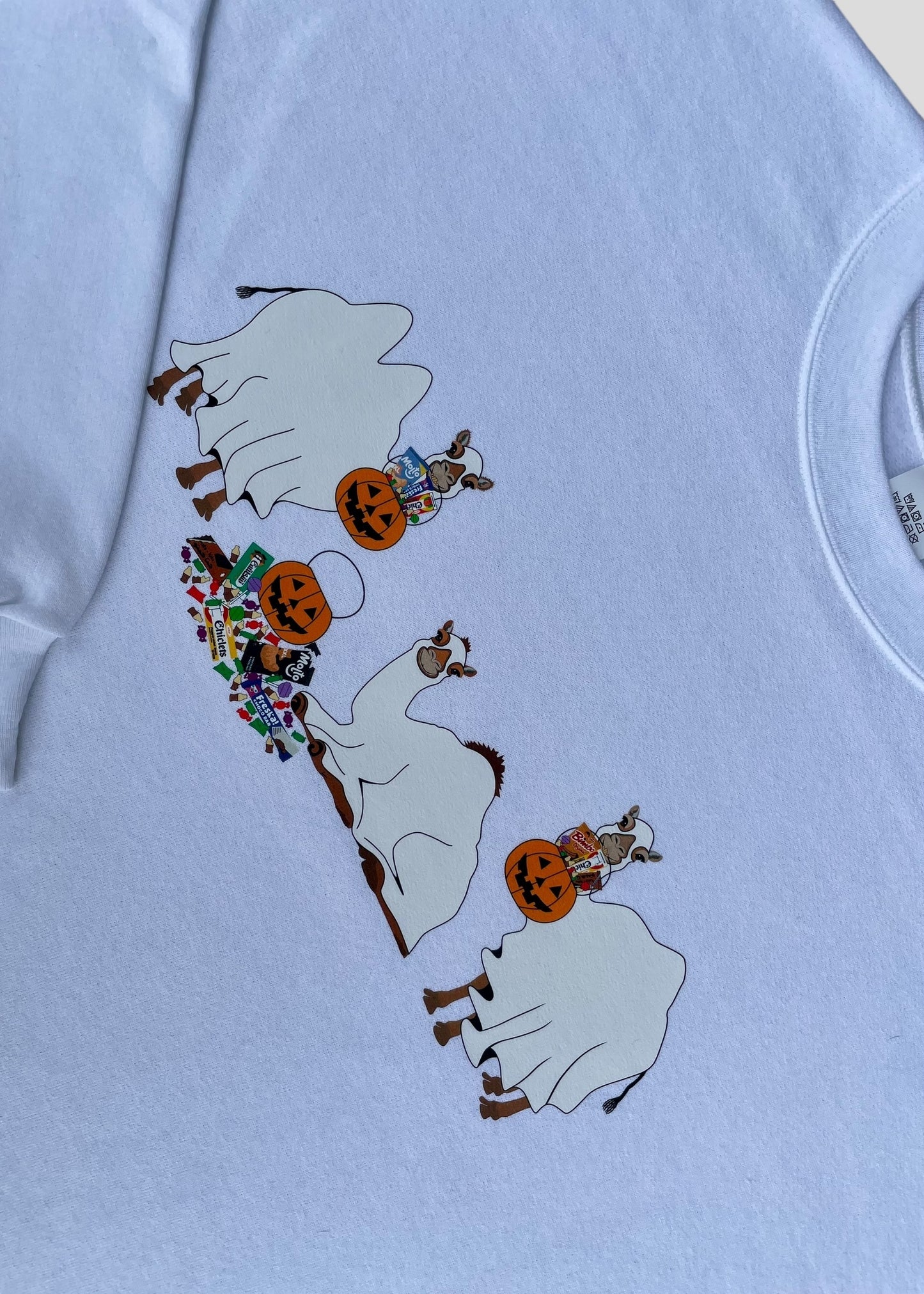 Ghost Camels: Trick or Treat Sweatshirts